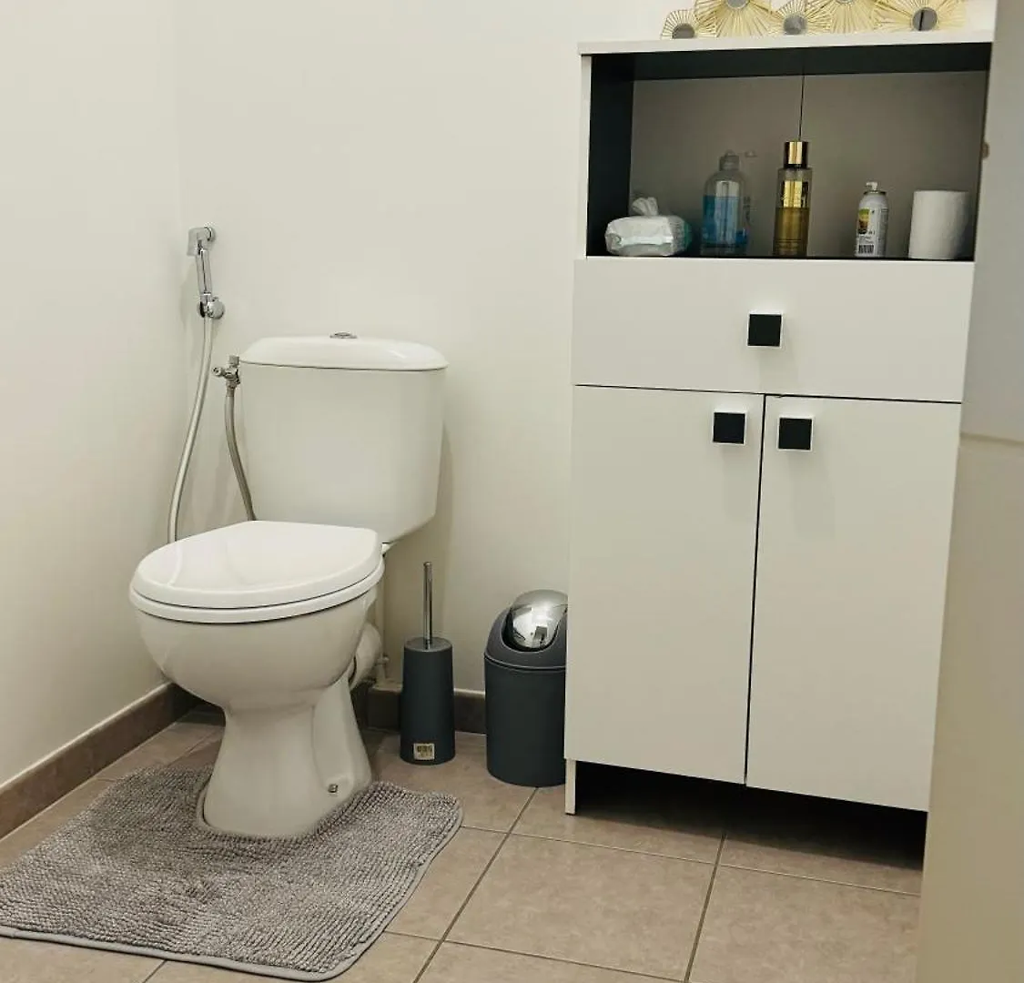 Appartement Grand Et Confortable Lyon France